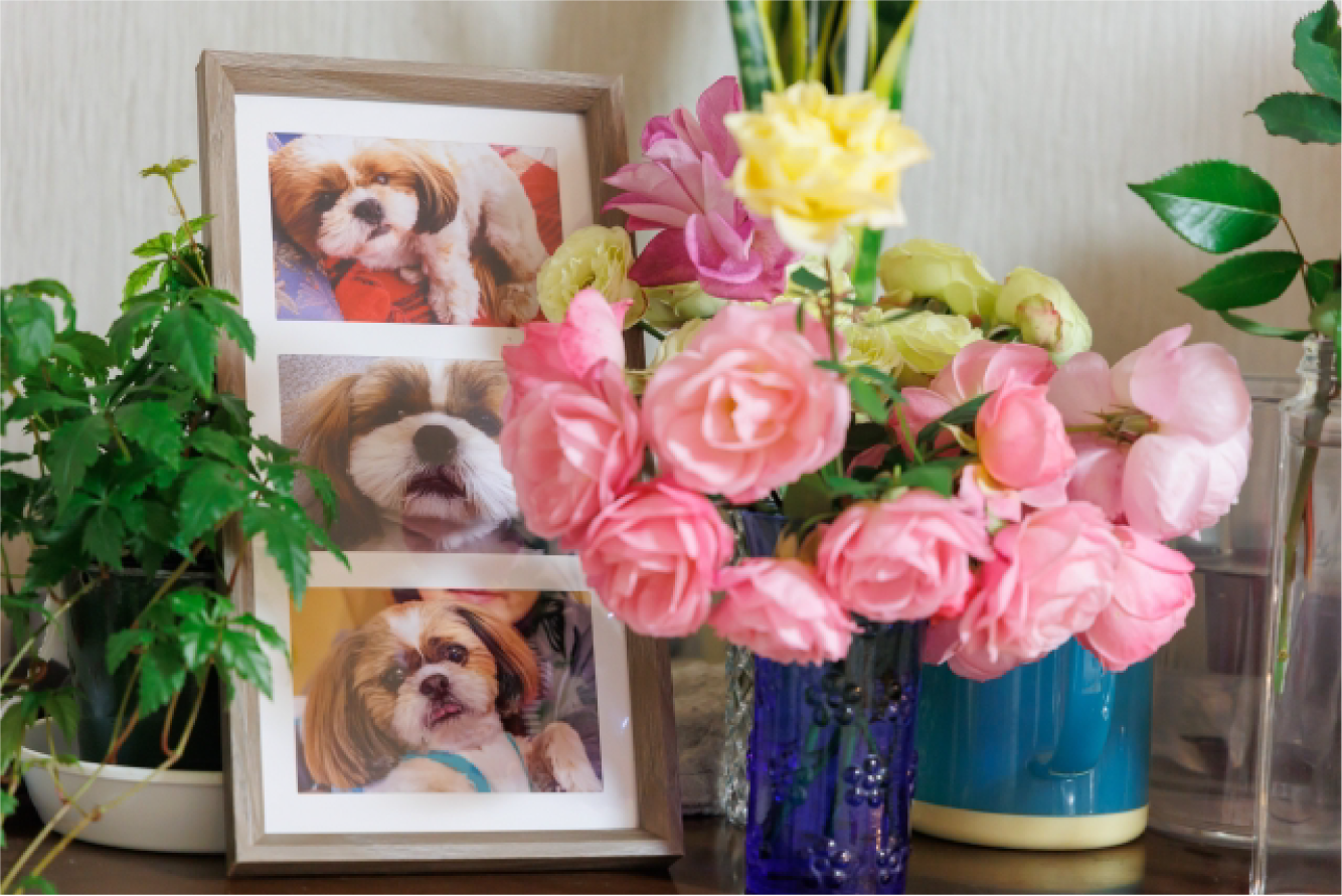 厄除け・祈願の相談